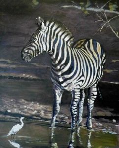"Burchell's Zebra"