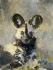 "Wild Dog Portrait"