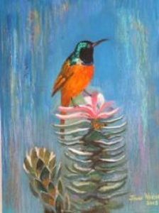 "Sunbird in Heaven"