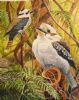 "Kookaburra"