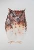 "Brown Owl"