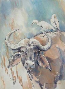 "Buffalo and Cattle Egrets"