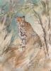 "Cheetah at Sontuli"
