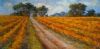 "Blaauwklippen Vineyards"