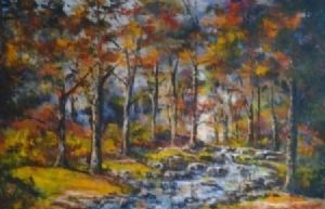 "Jonkershoek Water Stream"