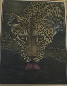 "Spotted!"