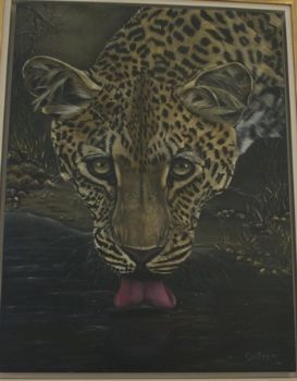"Spotted!"