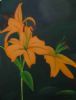 "Yellow Day Lilies"