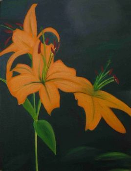 "Yellow Day Lilies"