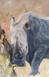 "White Rhino After Mud Bath"