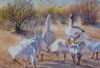 "Geese in Farmyard"