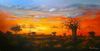 "Sunset with Baobab Tree"