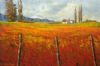 "Rooigrond - Overberg"