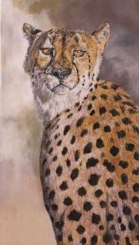 "Cheetah"