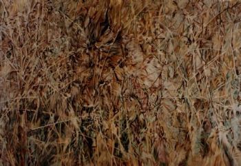 "Lion in Long Grass"