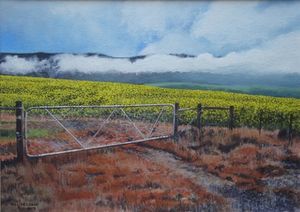 "Canola Field in Western Cape"
