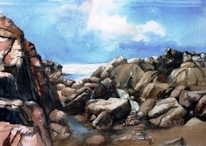 "Wildcoast"
