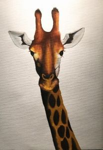 "Giraffe Portrait"