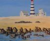 "Lighthouse on Westcoast "