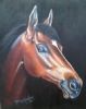"Horse"