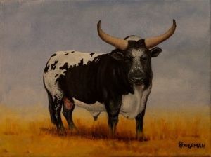 "Nguni Bull"