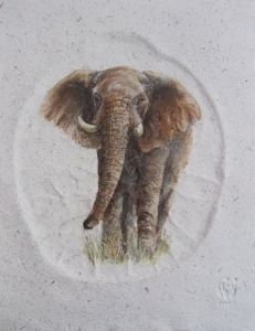 "Life Size Footprint & Elephant 2"