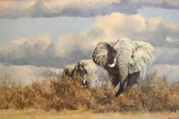 "Elephants"