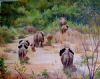 "Crossing the Dry River Bed"