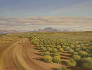 "Gravel Road near Calvinia"