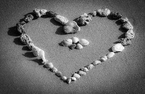 "Heart Shells"