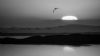 "Desert Sunrise"