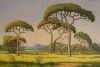 "Bushveld Morning with a Clear Sky ('Pierneef')"