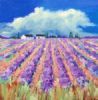 "Lavender Fields"