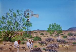 "Nuweveld Loop Windmill"
