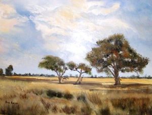 "Lowveldt Trees "