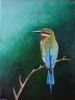 "Bee-eater"
