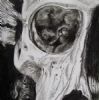 "Juvenile Baboon Skull 8"