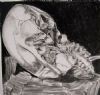 "Juvenile Baboon Skull 10"