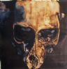 "Juvenile Baboon Skull 13"