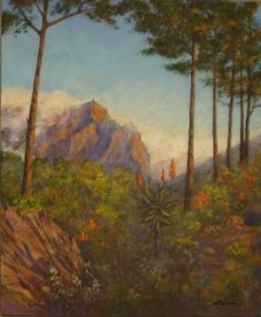 "Aloes Below Table Mountain 1"