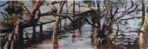 "Transkei Mangroves"