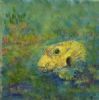 "Starry Pufferfish"