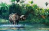 "Buffalo Island"