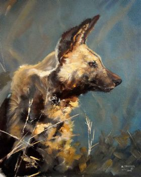 "Wild Dog Profile"