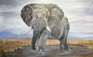 "Elephant"