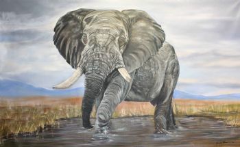 "Elephant"