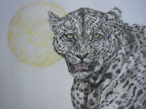 "Leopard's Moon"