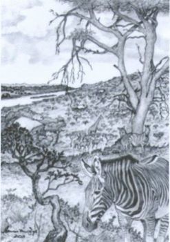 "Marloth Park"