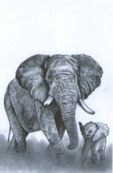 "Mother and Baby"