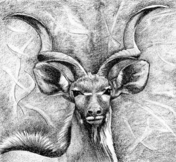 "Kudu"